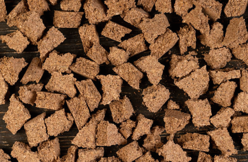 All About Freeze‑Dried Beef Lung Treats for Cats 